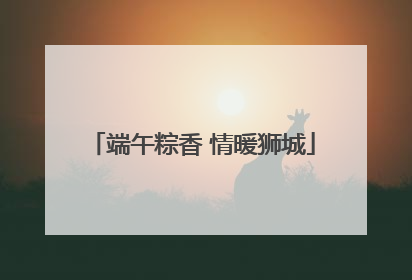 端午粽香 情暖狮城