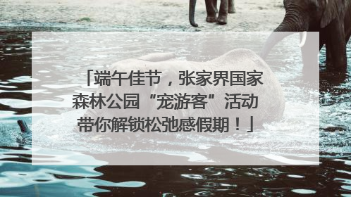 端午佳节，张家界国家森林公园“宠游客”活动带你解锁松弛感假期！