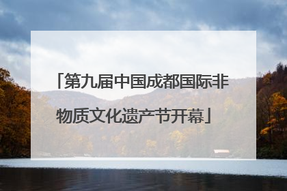 第九届中国成都国际非物质文化遗产节开幕