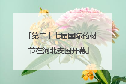第二十七届国际药材节在河北安国开幕