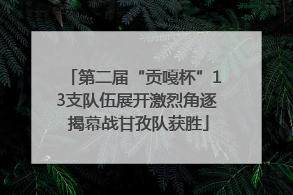 第二届“贡嘎杯”13支队伍展开激烈角逐 揭幕战甘孜队获胜