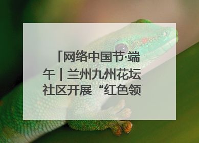 网络中国节·端午｜兰州九州花坛社区开展“红色领航 粽香敬老”端午主题活动