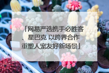 网易严选携手必胜客、星巴克 以跨界合作重塑人宠友好新场景