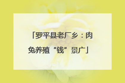 罗平县老厂乡：肉兔养殖“钱”景广