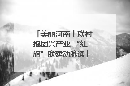 美丽河南丨联村抱团兴产业 “红旗”联建动脉通