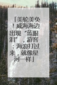 美轮美奂！威海海边出现“蓝眼泪”，游客：海浪打过来，就像星河一样