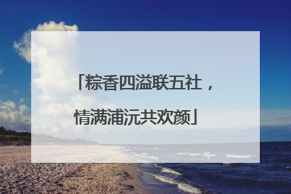 粽香四溢联五社，情满浦沅共欢颜