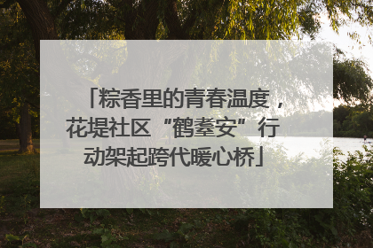 粽香里的青春温度，花堤社区“鹤耋安”行动架起跨代暖心桥