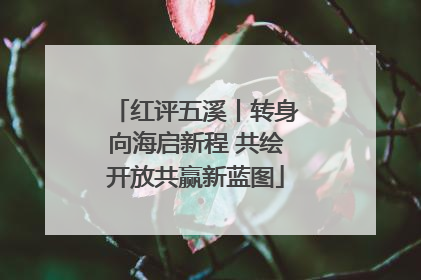 红评五溪丨转身向海启新程 共绘开放共赢新蓝图