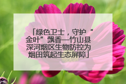 绿色卫士，守护“金叶”飘香—竹山县深河烟区生物防控为烟田筑起生态屏障