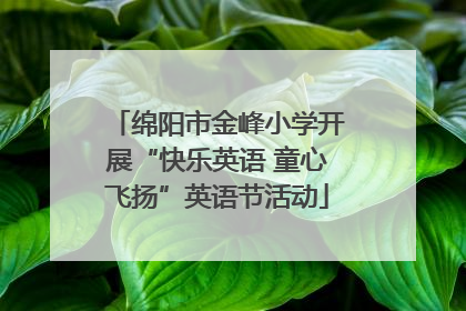 绵阳市金峰小学开展“快乐英语 童心飞扬”英语节活动
