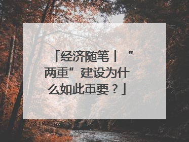 经济随笔丨“两重”建设为什么如此重要？