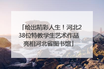绘出精彩人生！河北238位特教学生艺术作品亮相河北省图书馆