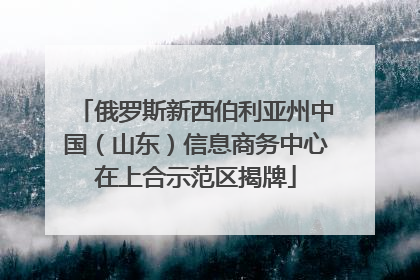 俄罗斯新西伯利亚州中国（山东）信息商务中心在上合示范区揭牌