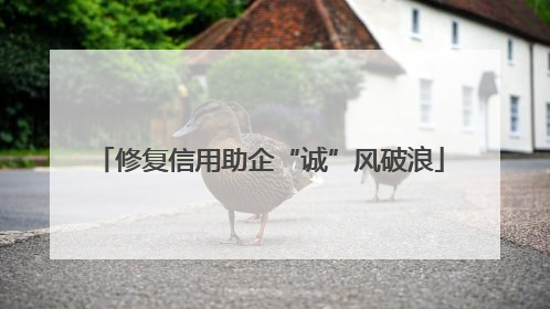 修复信用助企“诚”风破浪