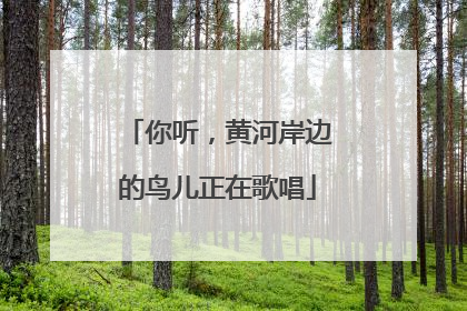 你听，黄河岸边的鸟儿正在歌唱