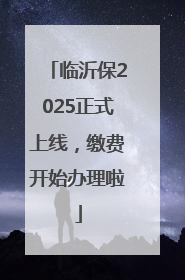 临沂保2025正式上线，缴费开始办理啦