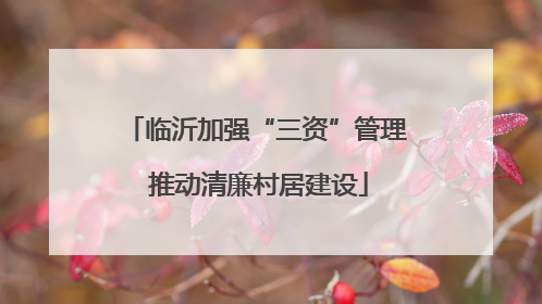 临沂加强“三资”管理 推动清廉村居建设