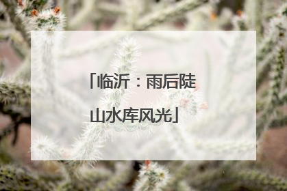 临沂：雨后陡山水库风光