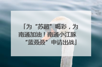 为“苏超”喝彩，为南通加油！南通小江豚“蓝叒叒”申请出战