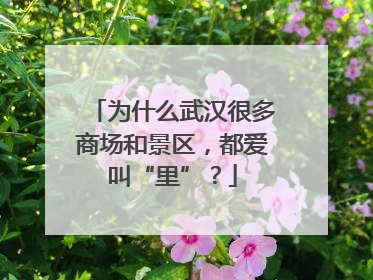 为什么武汉很多商场和景区，都爱叫“里”？