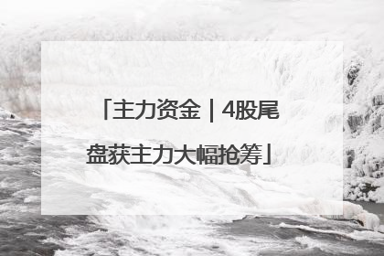 主力资金｜4股尾盘获主力大幅抢筹