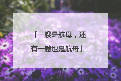 一艘是航母，还有一艘也是航母