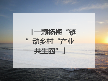 一颗杨梅“链”动乡村“产业共生圈”