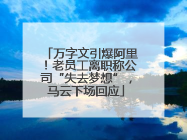 万字文引爆阿里！老员工离职称公司“失去梦想”，马云下场回应