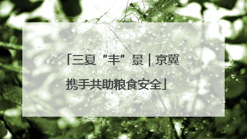三夏“丰”景｜京冀携手共助粮食安全