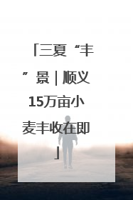 三夏“丰”景｜顺义15万亩小麦丰收在即