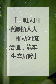 三明大田桃源镇人大：推动河流治理，筑牢生态屏障