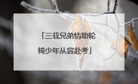 三载兄弟情助轮椅少年从容赴考