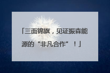 三面锦旗，见证振森能源的“非凡合作”！
