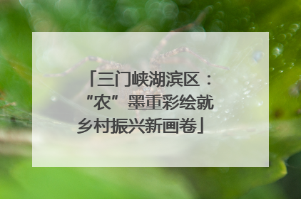 三门峡湖滨区：“农”墨重彩绘就乡村振兴新画卷