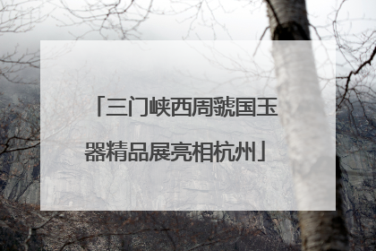 三门峡西周虢国玉器精品展亮相杭州
