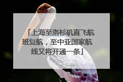上海至洛杉矶直飞航班复航，至中亚国家航线又将开通一条