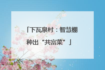 下瓦泉村：智慧棚种出“共富菜”
