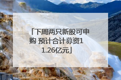 下周两只新股可申购 预计合计募资11.26亿元