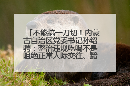 不能搞一刀切！内蒙古自治区党委书记孙绍骋：整治违规吃喝不是阻绝正常人际交往、黯淡人间烟火