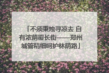 不须秉烛寻凉去 自有浓荫覆长街——郑州城管精细呵护林荫路