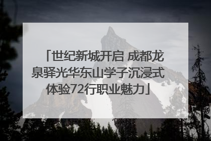 世纪新城开启 成都龙泉驿光华东山学子沉浸式体验72行职业魅力