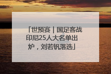 世预赛｜国足客战印尼25人大名单出炉，刘若钒落选
