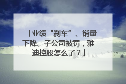 业绩“刹车”、销量下降、子公司被罚，雅迪控股怎么了？