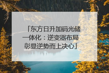 东方日升加码光储一体化：逆变器布局彰显逆势而上决心