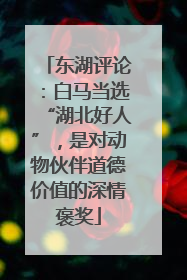 东湖评论：白马当选“湖北好人”，是对动物伙伴道德价值的深情褒奖