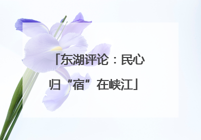 东湖评论：民心归“宿”在峡江
