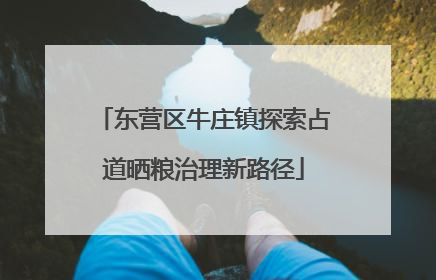 东营区牛庄镇探索占道晒粮治理新路径