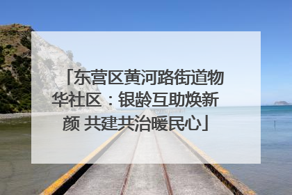 东营区黄河路街道物华社区：银龄互助焕新颜 共建共治暖民心