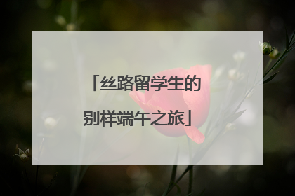 丝路留学生的别样端午之旅
